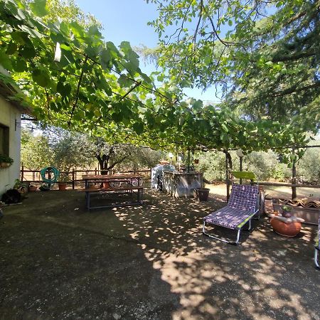 La Casa Di Giulia Villa Bronte Buitenkant foto