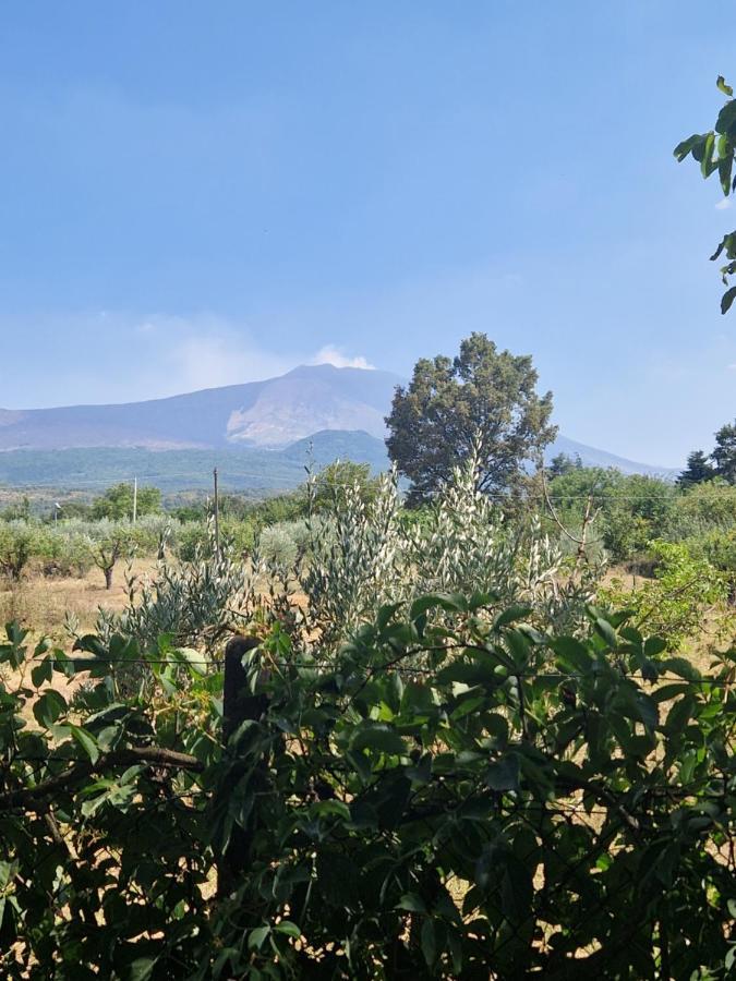 La Casa Di Giulia Villa Bronte Buitenkant foto