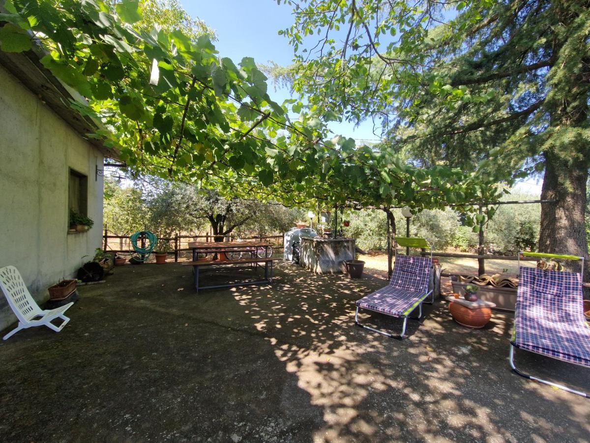 La Casa Di Giulia Villa Bronte Buitenkant foto