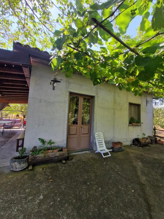 La Casa Di Giulia Villa Bronte Buitenkant foto